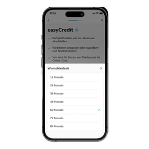 easy credit 04